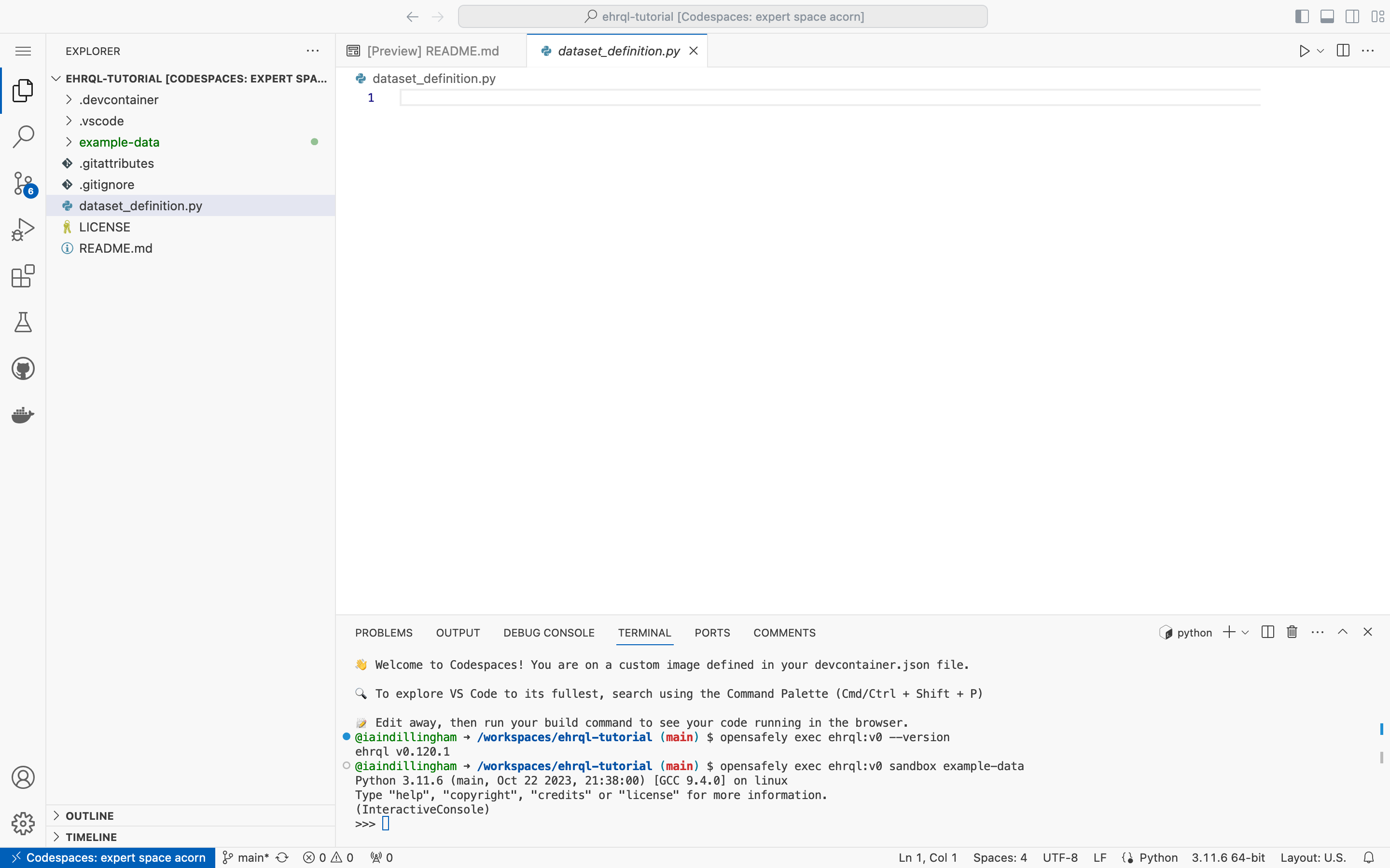 A screenshot of VS Code, showing an empty dataset definition